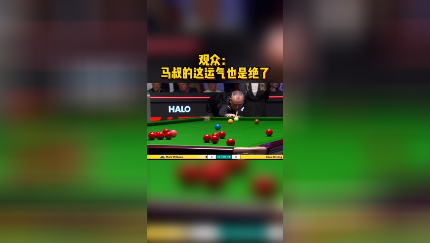 观众：马叔的这运气也是绝了