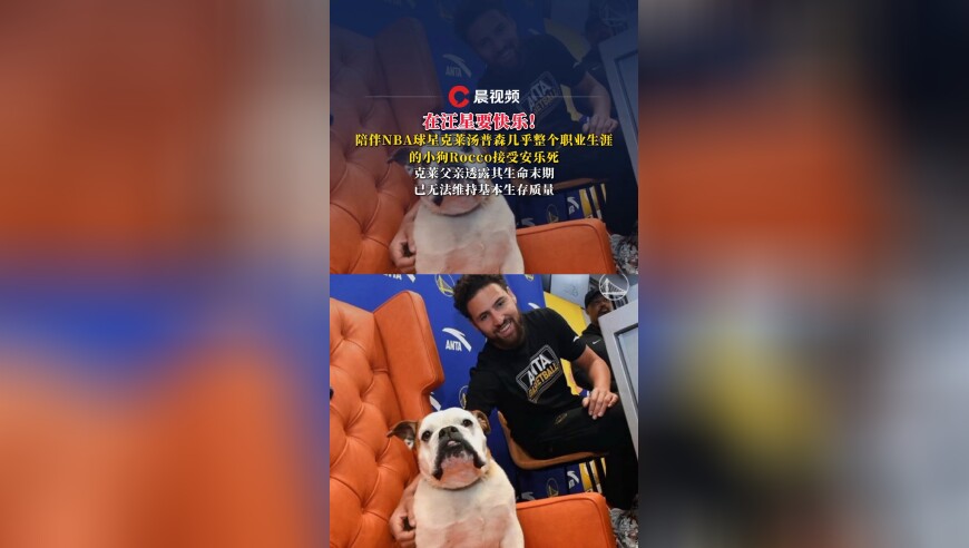 在汪星要快乐！陪伴球星克莱汤普森几乎整个职业生涯的小狗Rocco被安乐死