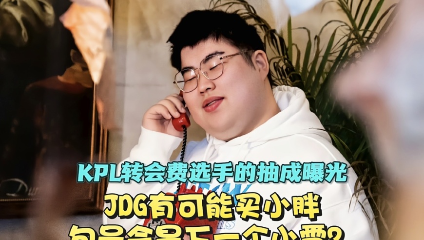 KPL转会费选手的抽成曝光！JDG有可能买小胖，句号会是下个小雪