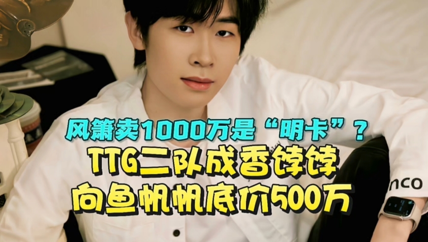 离谱，风箫卖1000万是“明卡”？TTG二队成KPL转会期香饽饽：向鱼帆帆底价500