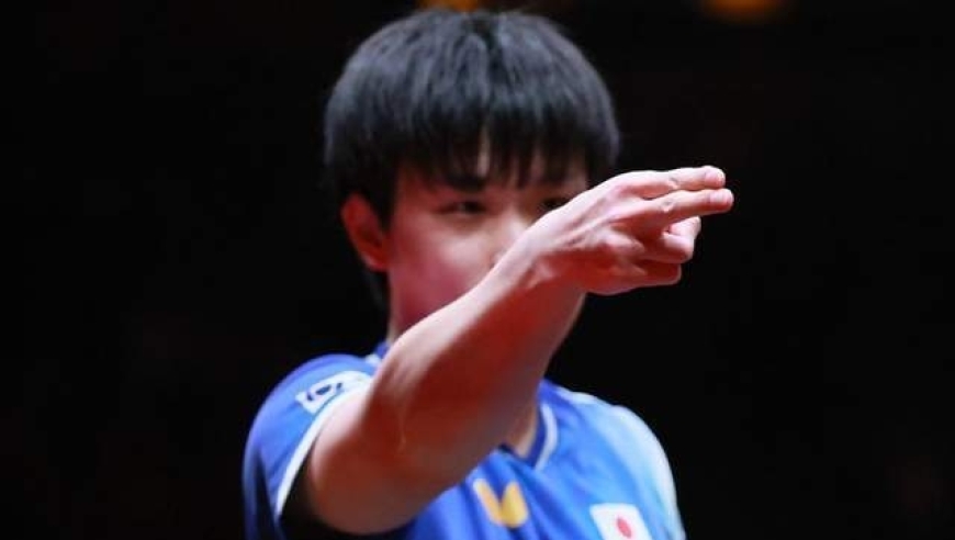 官媒批张本智和拜鬼，樊振东取关作表率，早该出台措施好好治他了