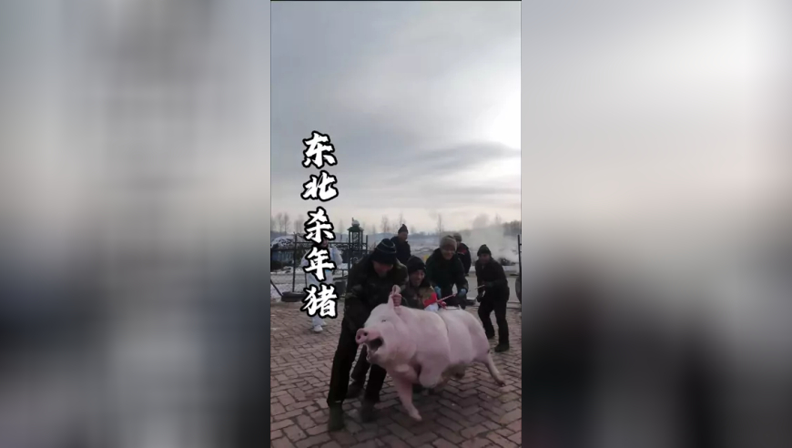 这一天的心情像过坐山车一样