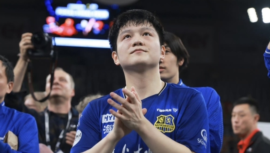 樊振东德甲转会背后，绝非波尔牵线搭桥那么简单，背后有三大考量