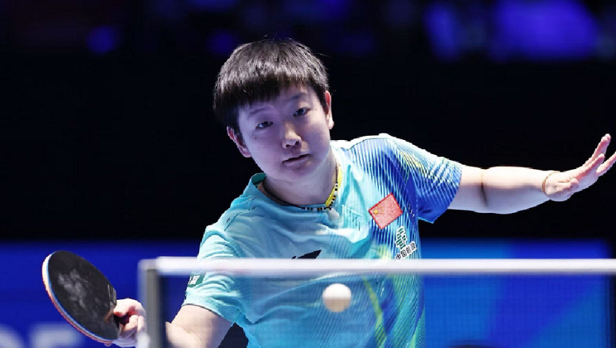 大满贯赛女单签表：上半区中国女乒扎堆，王曼昱有望再战张本美和