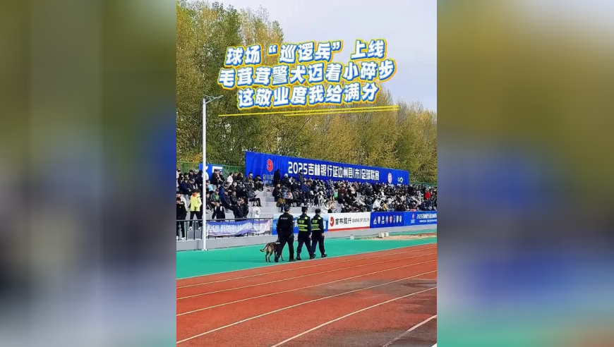 球场 “巡逻兵” 上线 毛茸茸警犬迈着小碎步 这敬业度我给满分