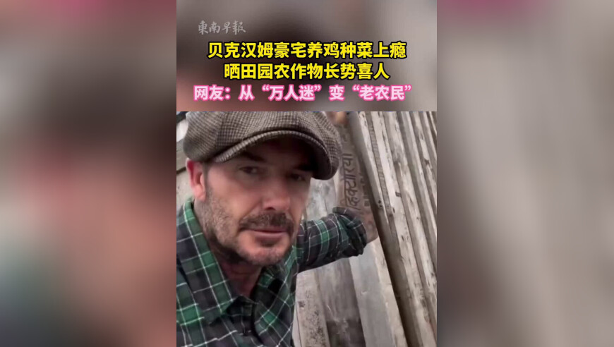 贝克汉姆豪宅养鸡种菜上瘾，晒田园农作物长势喜人，网友：从“万人迷”变“老农民”