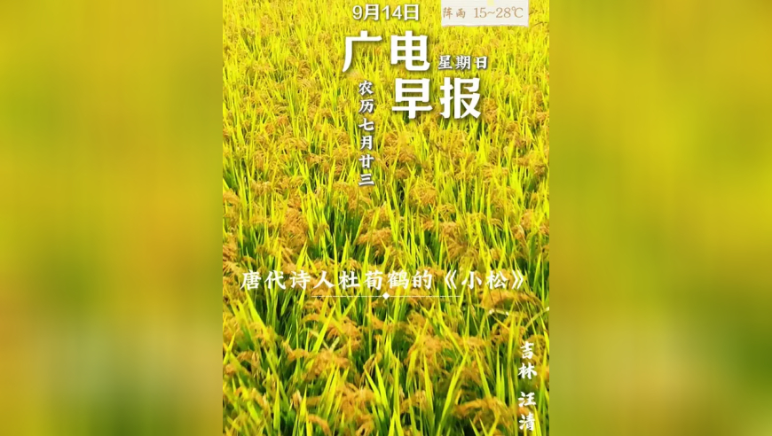 今天我们来欣赏唐代诗人杜荀鹤的《小松》 自小刺头深草里 而今渐觉出蓬蒿 时人不识凌云木 直待凌云始道高