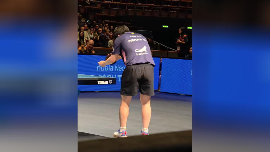 樊振东发球被打断后示意no problem，做出趴桌姿态超可爱