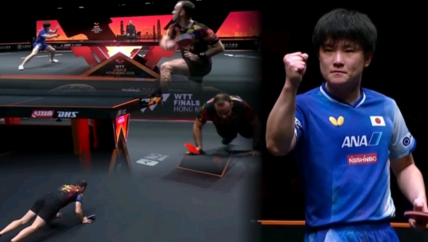 张本智和西蒙高茨神仙打架！日本一哥凶狠杀球吸短，告辞叔拼到趴地上