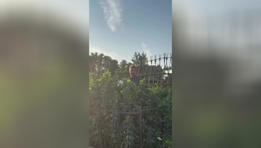 热爱田园生活，贝克汉姆分享自己的菜园，并展示自己种的蔬菜