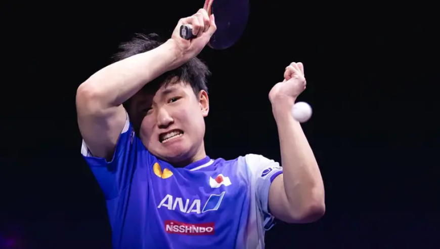 张本智和4-2终结对王楚钦8连败！关键局医疗暂停引争议，许昕直播犀利点评！