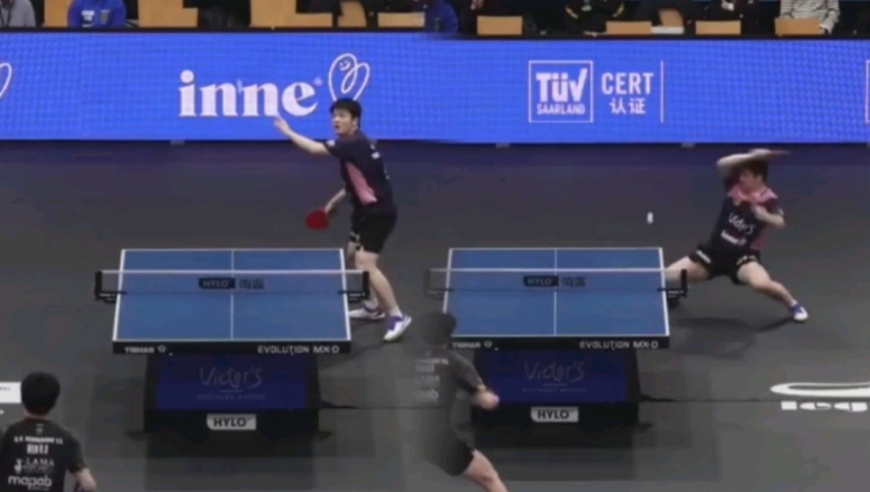樊振东温瑞博欧冠内战精彩球赏析：小胖标志反手+下腰，神仙对攻过瘾