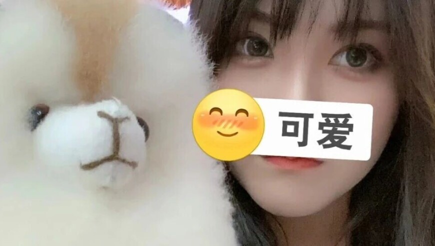 一条小团团时隔2年更新视频，疑似复出！网友：我的导航还是你，回来吧，我的爱人~