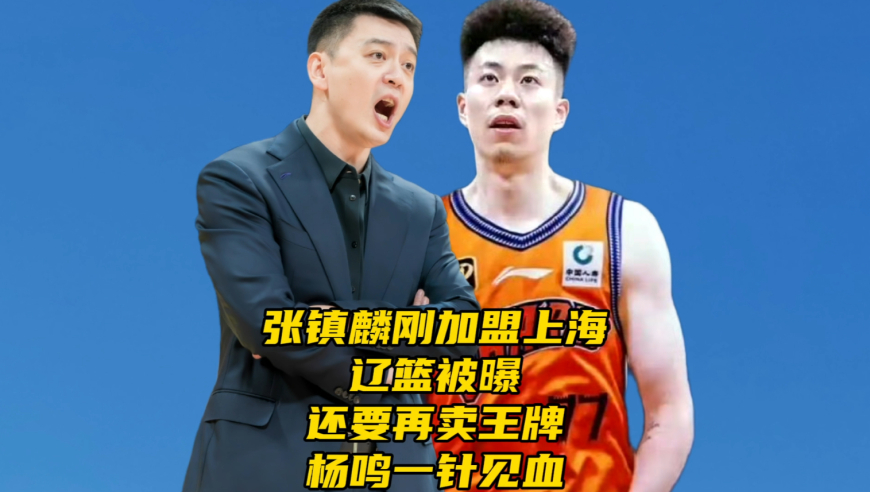 张镇麟刚加盟上海！辽篮被曝忍痛割爱还要再卖王牌，杨鸣一针见血