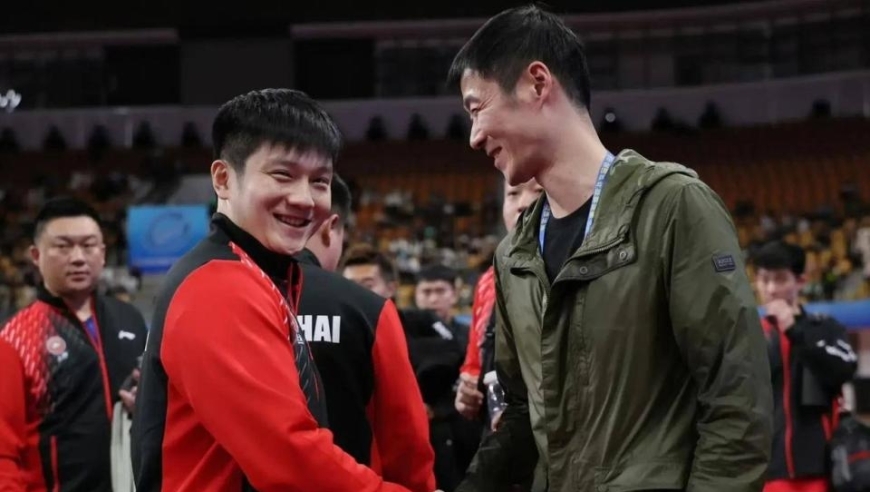 德媒：王励勤已将樊振东召回国家队 小胖何时重返国际赛场成焦点