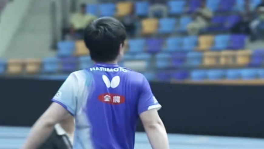 给张本智和的一封信：你被央媒点名，完全是咎由自取