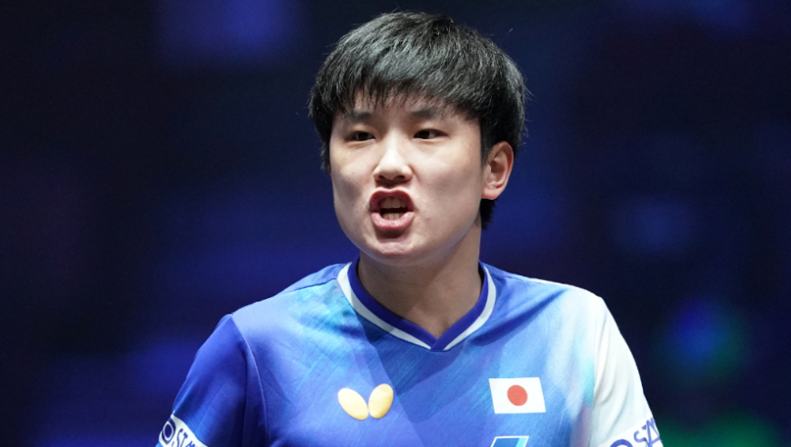 WTT重庆冠军赛：日本4人晋级8强！张本智和3-0横扫队友
