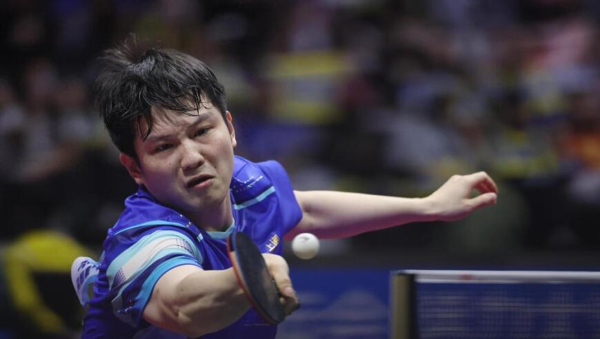 樊振东为何能赢林诗栋夺冠？邓亚萍点评一针见血，庆祝动作引热议