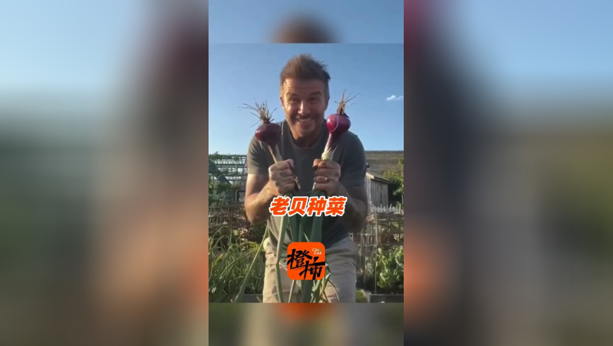 贝克汉姆变身菜农，网友：年龄到了，种菜基因觉醒