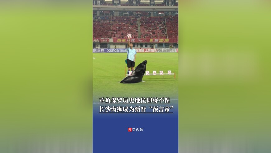 章鱼保罗历史地位即将不保？长沙大海狮预测球赛比分超准