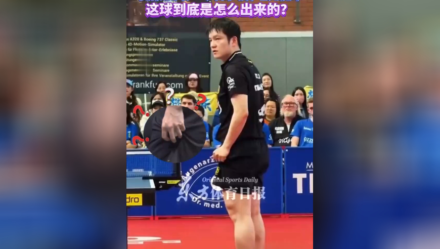 樊振东掏乒乓球的动作堪比魔术，网友：这球到底是怎么出来的？