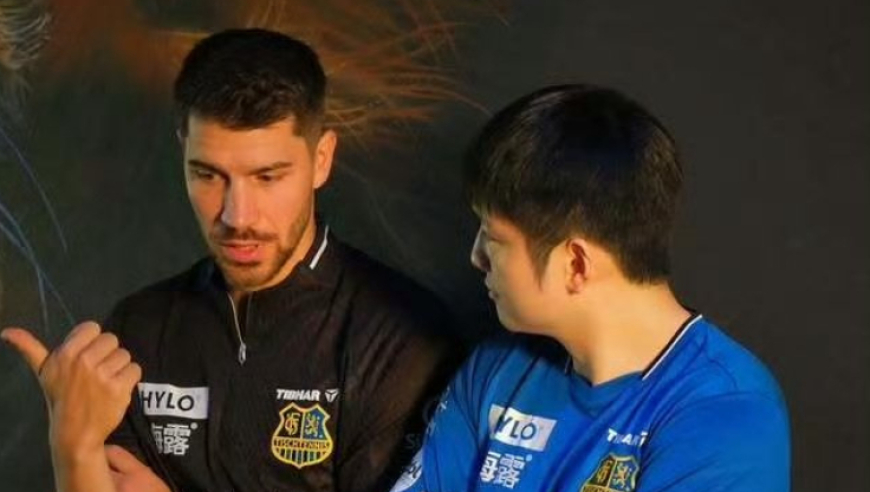 樊振东的跨国影响力：德甲掀热潮，与他成队友是德国名将高光时刻