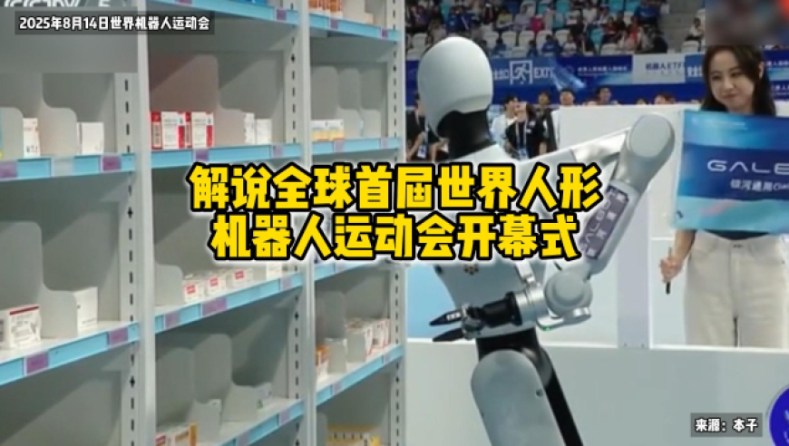 爆笑！没有感情，全是乐子哈哈哈哈哈哈哈哈太可爱了都，想领养一个回家