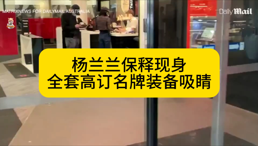 杨兰兰保释现身 全套高订名牌装备吸睛