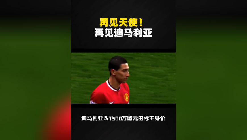 再见天使！再见迪马利亚！巨星身边的超级绿叶！