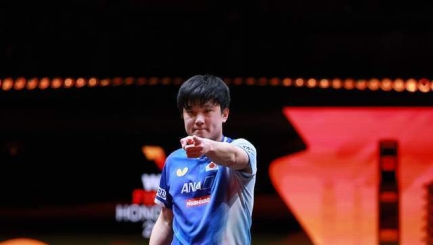 日本网友得意忘形：中国球迷激怒东瀛猛虎，张本智和就是世界第一