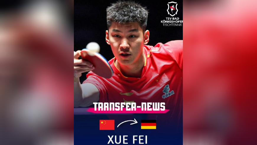 樊振东效应！薛飞加盟德甲俱乐部，总经理盛赞，均为王皓弟子