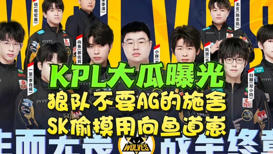 狼队不要AG的施舍？KPL大瓜曝光：SK偷摸用向鱼道崽，AG二十三连胜有希望