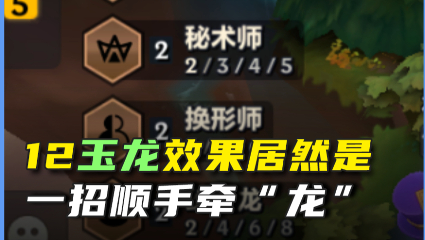 这就是12玉龙的效果吗？