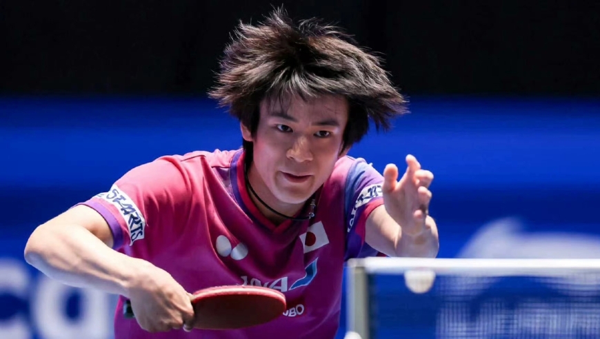 林诗栋为何被日本球员淘汰？刘国正点评一针见血，王皓这次被冤枉