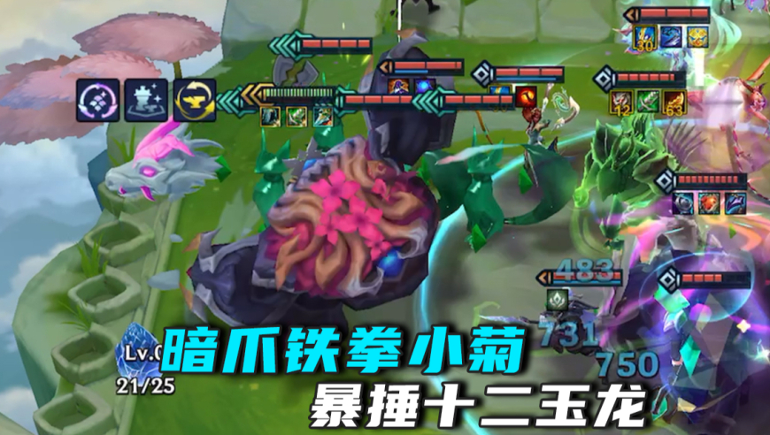 小菊：我打职业的