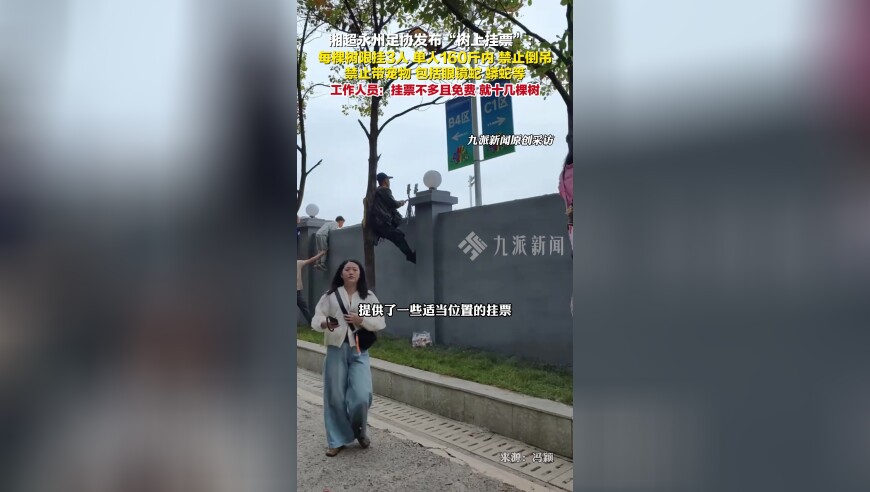 湖南永州足协发布“树上挂票”：每棵树限挂3人，单人160斤内，禁止倒吊