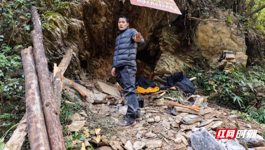 张家界七星山“荒野求生”选手“刀疤哥”退赛后生命体征平稳