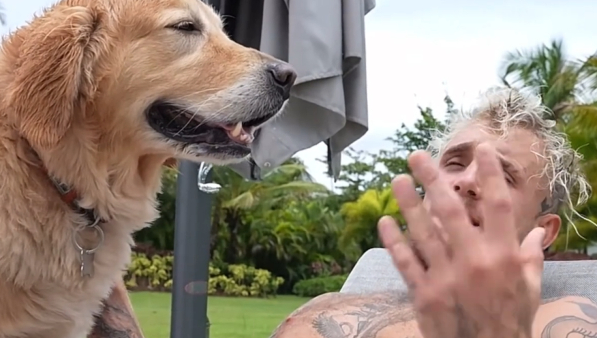 体坛记忆｜网红保罗和约书亚比赛细节！