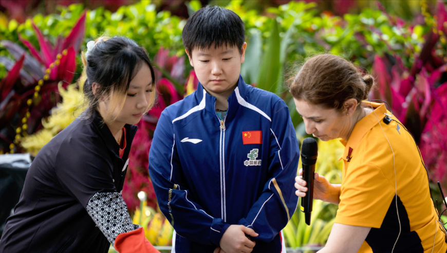 WTT新加坡大满贯：多位名将已出局！2月21日赛程公布，附5项签表