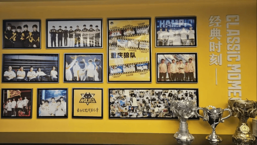 重庆狼队成立团支部，藤菲菲当选团支部书记