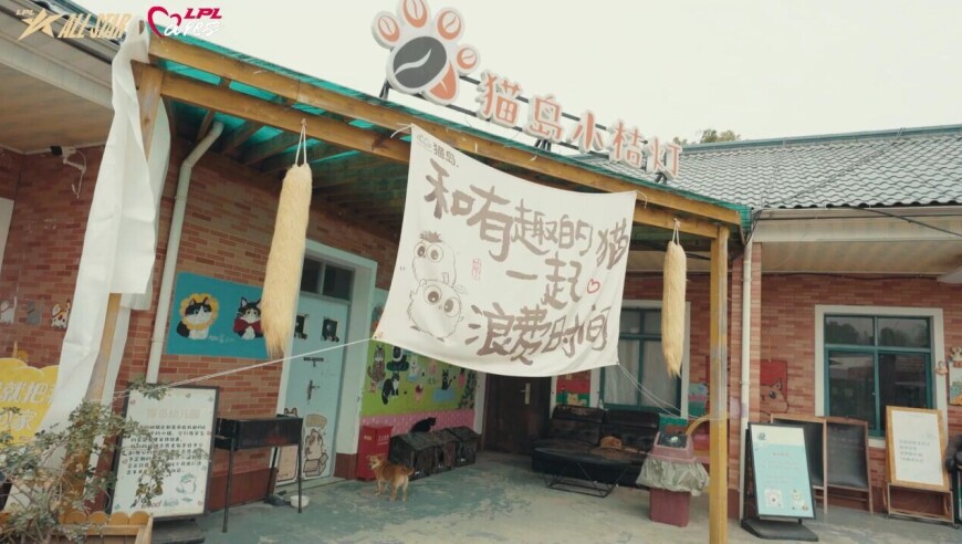 2025LPL全明星公益日活动：小猫咪找妈妈