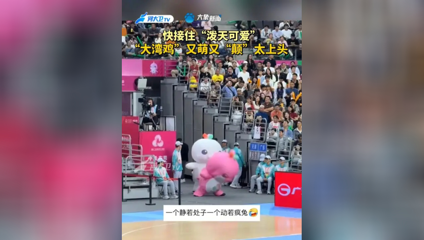 “大湾鸡”又萌又“颠”太上头