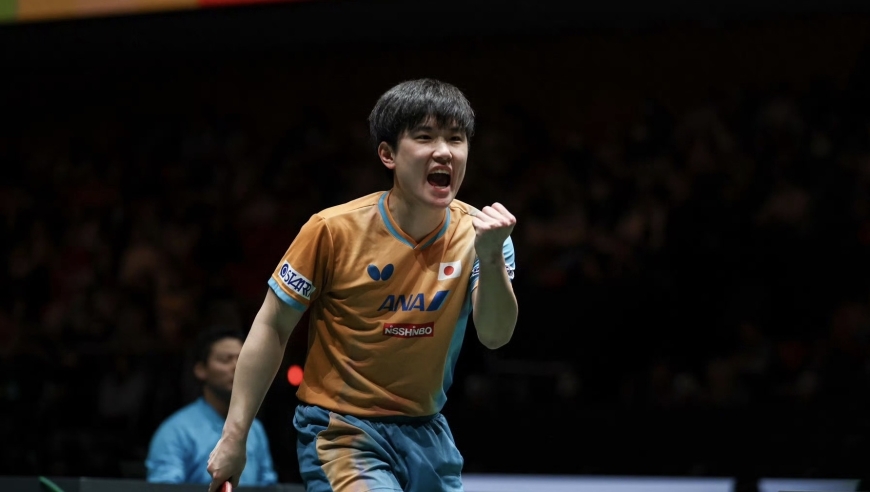 张本智和0-6后被中国老家球迷狂嘘！法国对手：为他感到难过+心疼