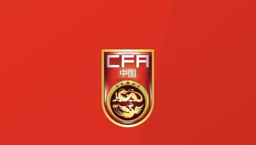 豪掷 7500 万元，比亚迪将赞助中国足协中国之队