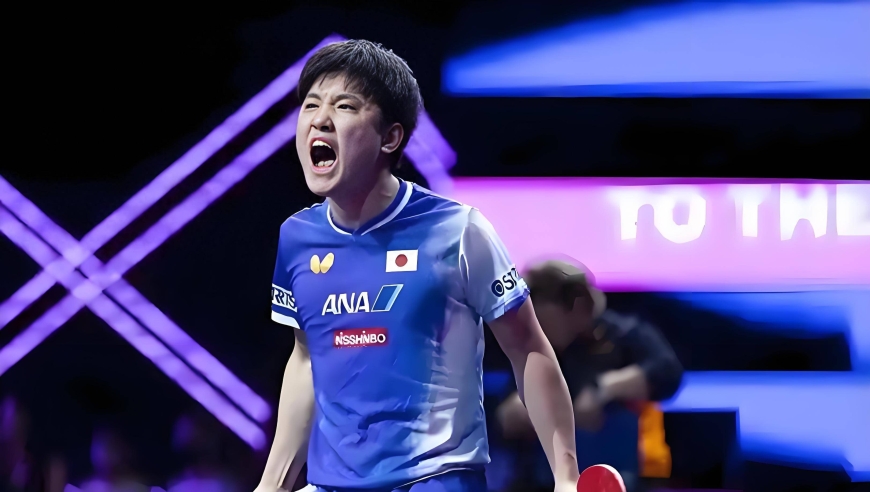 张本智和不受中国球迷喜欢，韩媒说出重要原因