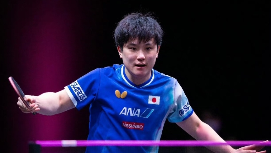 大吼大叫！张本智和让队友都烦了 再遇26岁国乒克星 2战全输只赢1局