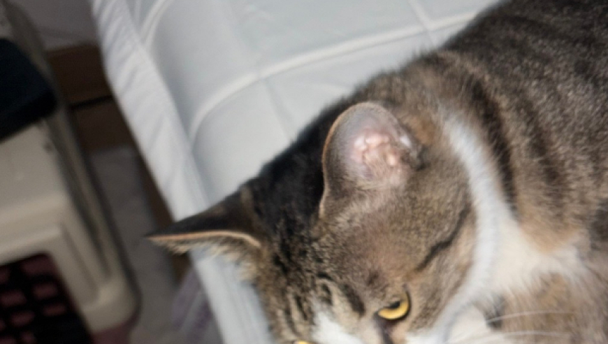 Viper选手社媒发文：新年快乐！