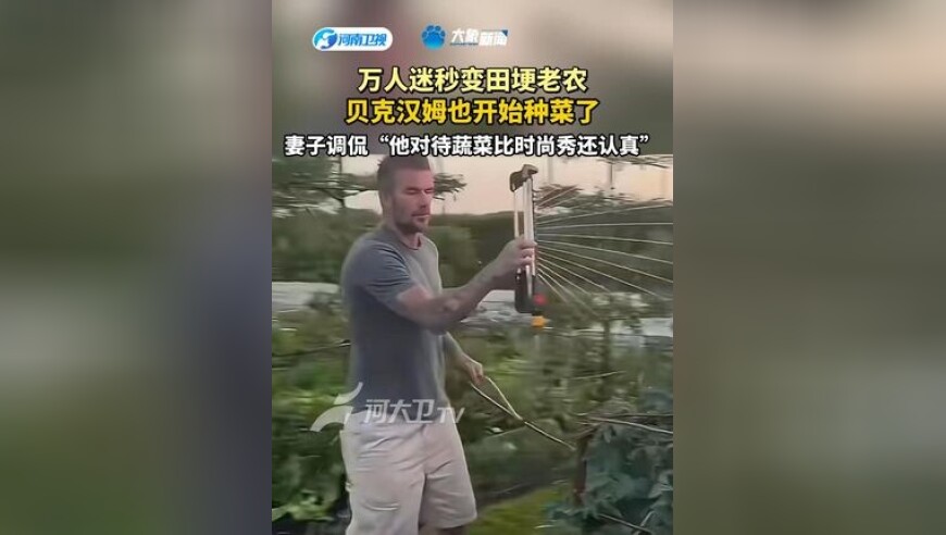 万人迷秒变田埂老农！贝克汉姆也开始种菜了，妻子调侃：他对待蔬菜比时尚秀还认真