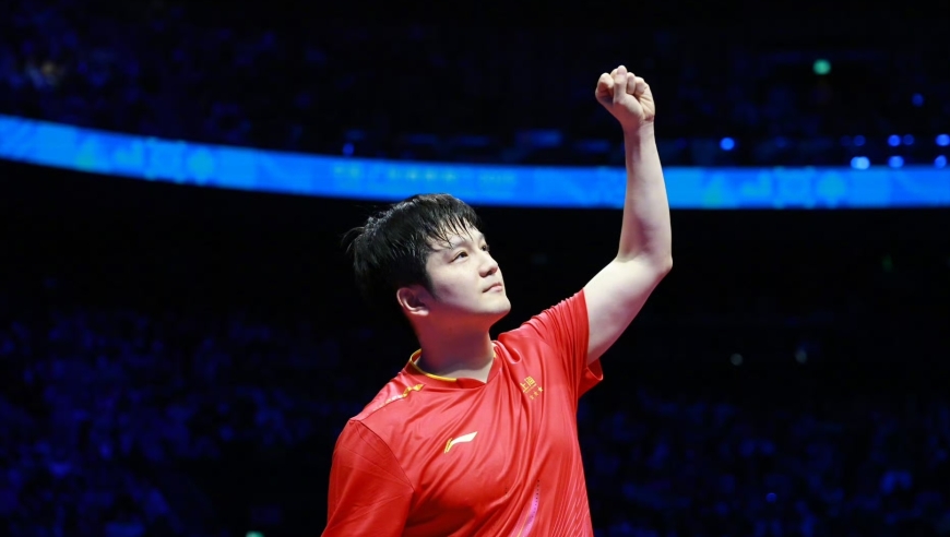 樊振东：去欧洲是为了远离不好的东西！打遍天下无敌手？结果不一定好