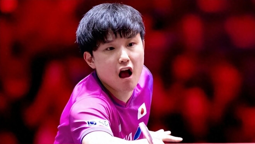 张本智和，依然在被夸和被骂中活着